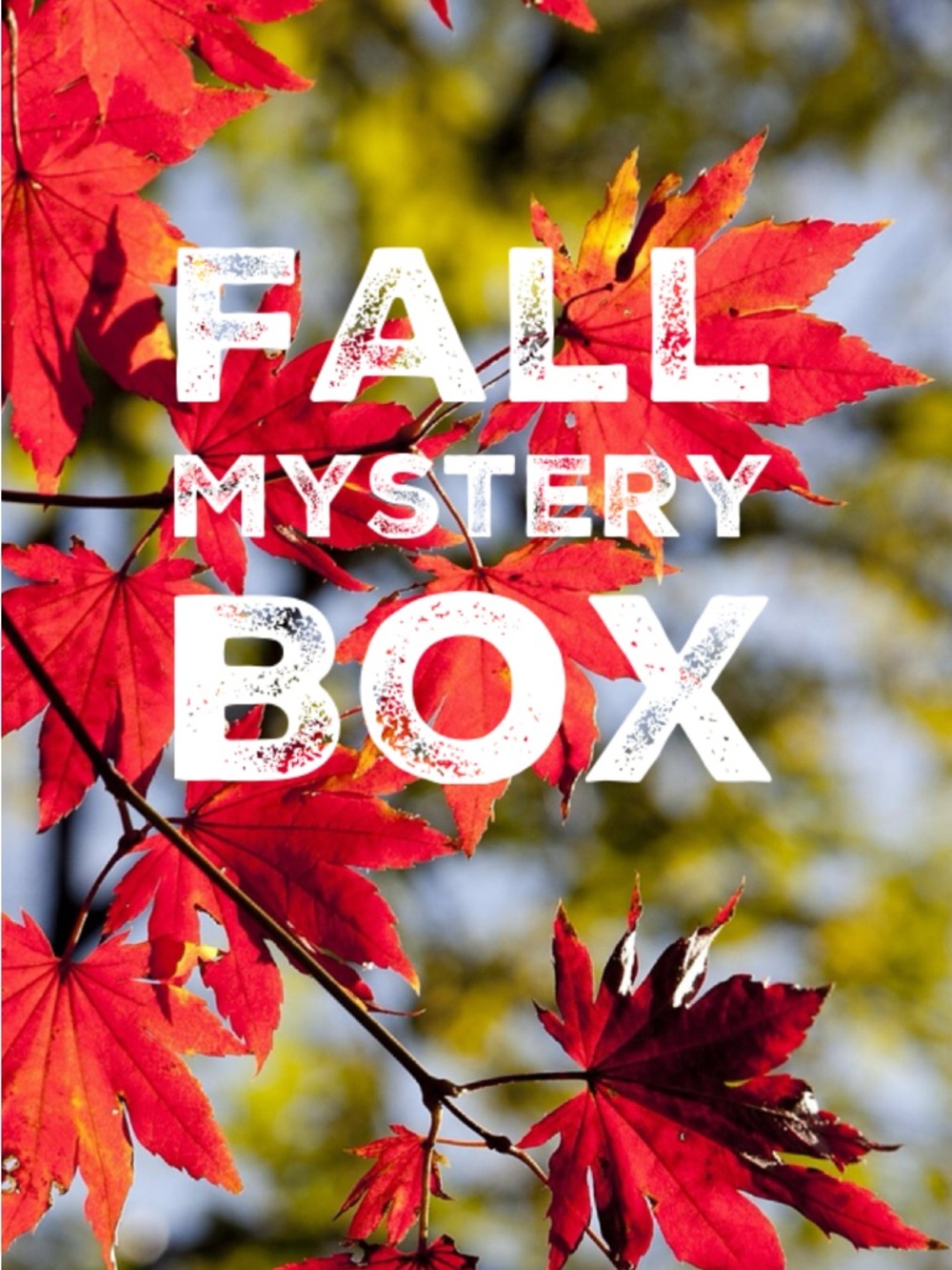 🍁🍂🧡7-Piece Fall Mystery Box🧡🍂🍁